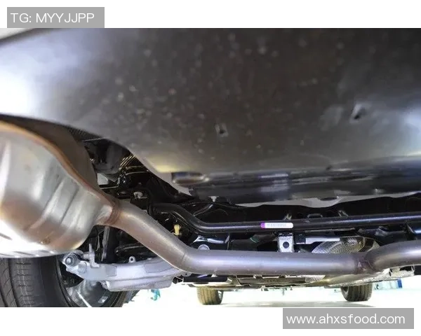 金牛座足球球星盘点：他们的脚下有着不凡的力量与坚持